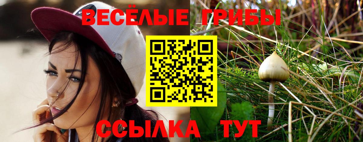 Псилоцибиновые грибы GOLDEN TEACHER Когалым