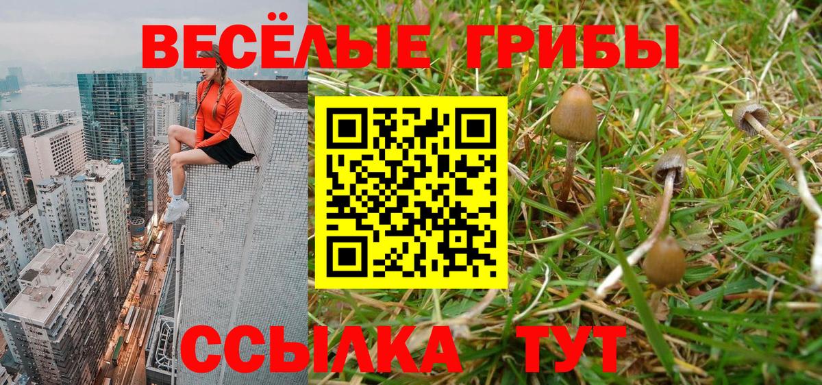 Псилоцибиновые грибы Psilocybine cubensis  Псилоцибиновые грибы MAGIC MUSHROOMS  Вход с VPN  Когалым 